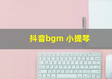 抖音bgm 小提琴